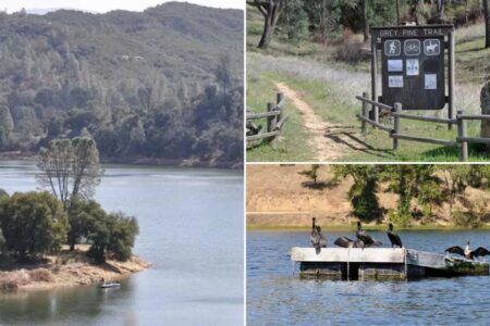 Swimmers to swarm hidden California gem as state changes rules for first time ever