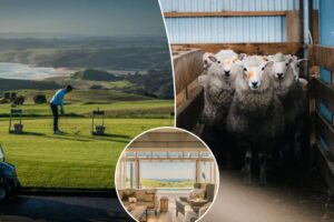 A to Zealand: Golf, sheep, doomsday preppers, now a top hotel brand — Kiwi country has it all