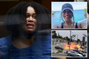 Naked video call and bizarre Will Smith claim before fiery crash that killed six revealed in tearful testimony