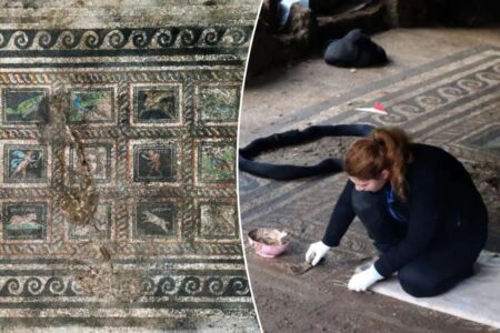 Stunning 2,000-year-old Roman mosaic unearthed in Turkey appears to honor family’s beloved cat and dog