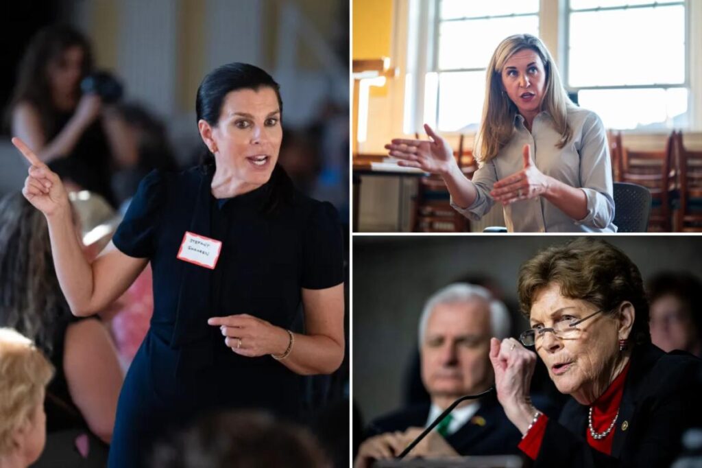 Sen. Jeanne Shaheen’s daughter Stefany wins nasty primary for New Hampshire House seat Sen. Jeanne Shaheen’s daughter Stefany wins nasty primary for New Hampshire House seat
