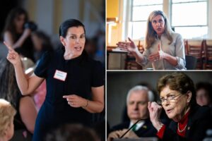 Sen. Jeanne Shaheen’s daughter Stefany wins nasty primary for New Hampshire House seat Sen. Jeanne Shaheen’s daughter Stefany wins nasty primary for New Hampshire House seat