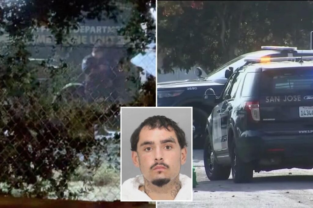 Serial killer fears as California man flags down cops and leads them to multiple bodies