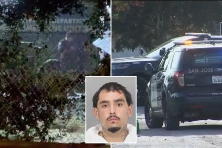 Serial killer fears as California man flags down cops and leads them to multiple bodies
