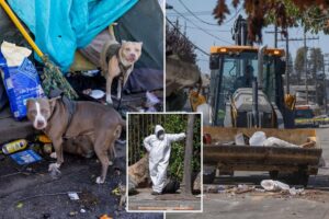 Deadly rat urine disease linked to infested RV after hazmat crews swooped on massive California tent city
