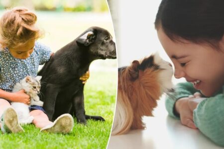 Pets improve kids’ mental health — except one, which makes things worse Pets improve kids’ mental health — except one, which makes things worse