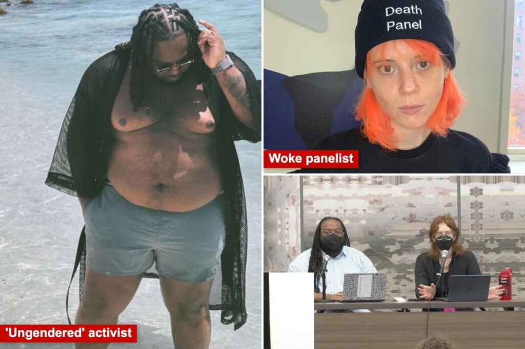 ‘Ungendered’ activist claims GLP-1s are ‘fascist’ and ‘genocide fat people’ in  unhinged moment during DSA conference