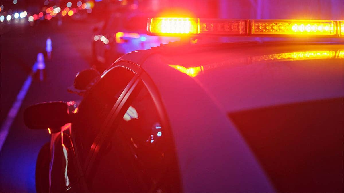 Stock image of police emergency lights at night