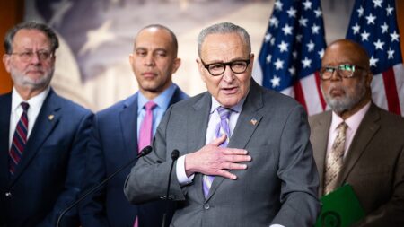 Top Republican names who he says is really leading Democrats — and it’s not Schumer or Jeffries