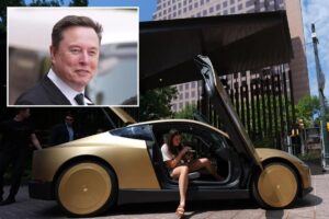 Elon Musk launches steering-wheel-free Tesla Cybercabs in bet riders lose ‘no control’ fears Elon Musk launches steering-wheel-free Tesla Cybercabs in bet riders lose ‘no control’ fears
