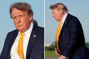 President Trump debuts new brown hairdo — and people are shocked