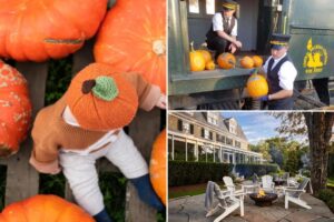 Country charms: You can’t beat a day out on the farm